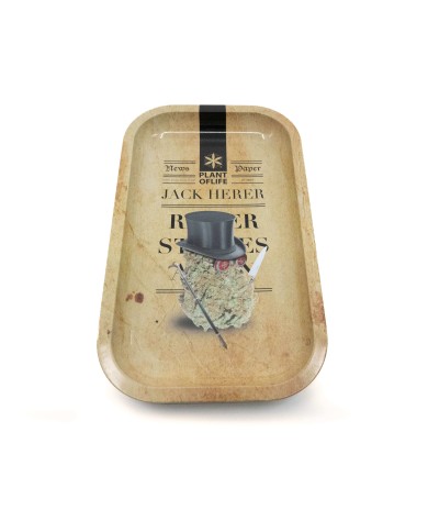 Plateau Jack Herer light | PLANT OF LIFE