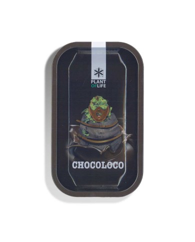 Plateau Chocoloco | PLANT OF LIFE