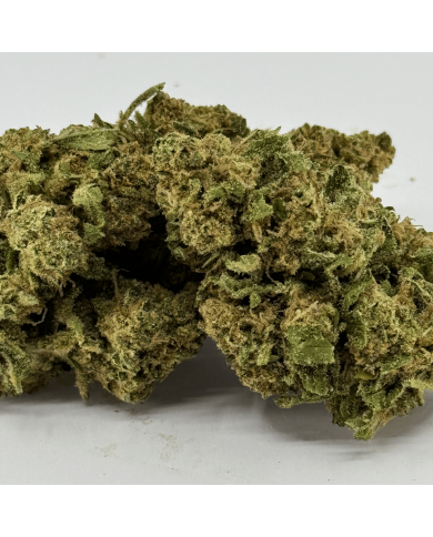 Fleur de CBD Super White Frost Greenhouse