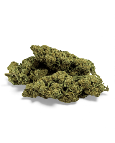 Fleur de CBD Super White Frost Greenhouse