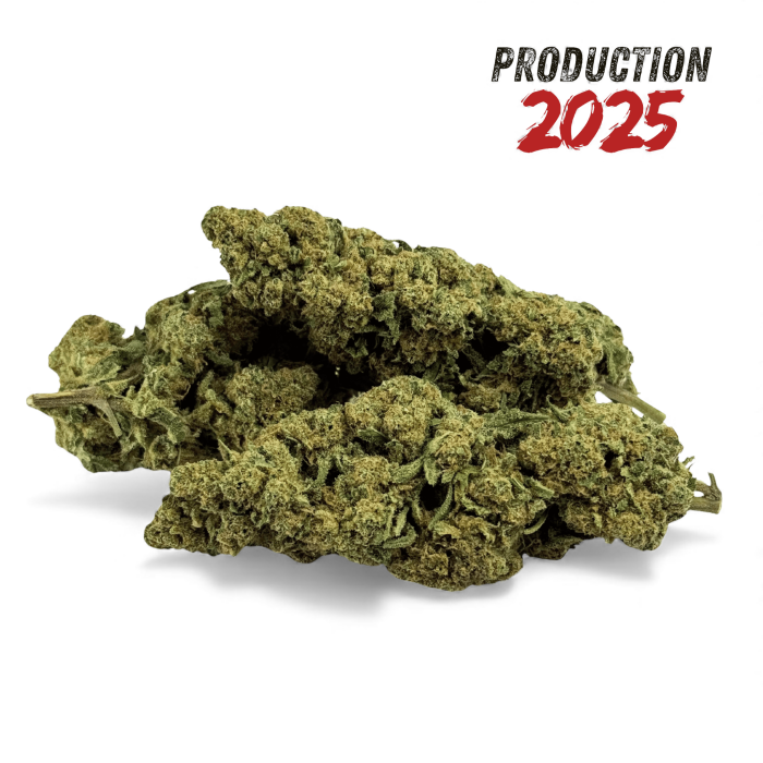 Fleur de CBD Super White Frost Greenhouse