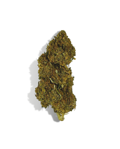 Coffret découverte débutant fleurs CBD