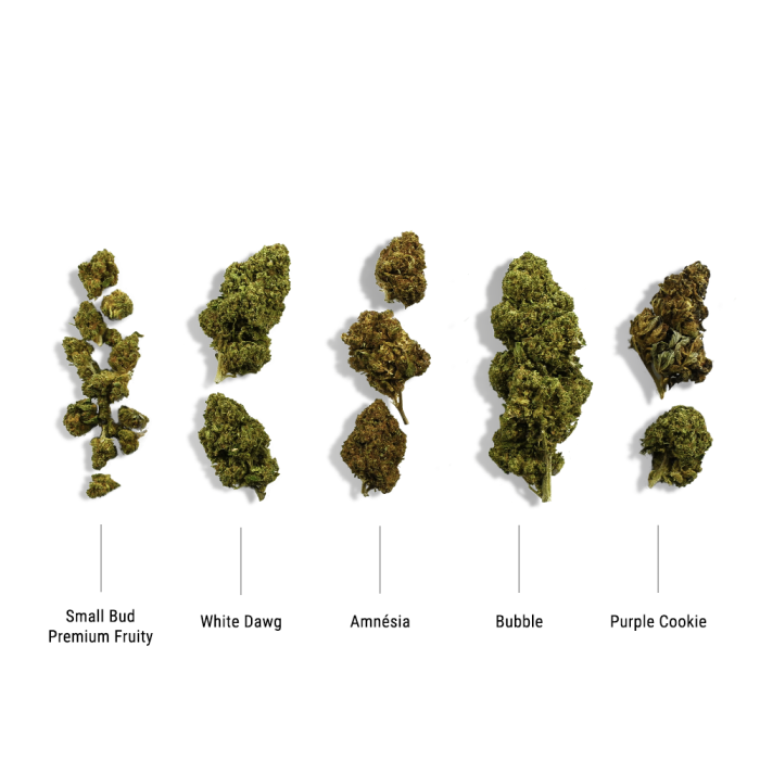 Coffret découverte débutant fleurs CBD