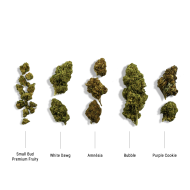 Coffret découverte débutant fleurs CBD