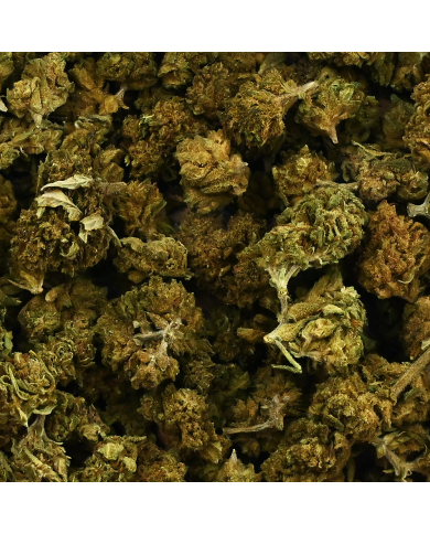 Fleur CBD Mixte Small & Big Bud