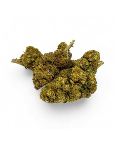 Fleur de CBD Strawberry Haze Greenhouse