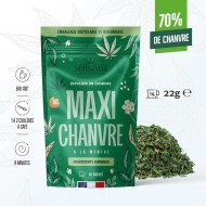 Tisane CBD bio maxi chanvre à la menthe SENSAVEA