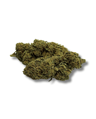 Fleur de CBD Gorilla Greenhouse