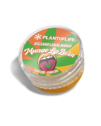 Baume lèvres CBD & CBG mangue | PLANT OF LIFE