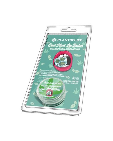 Baume lèvres CBD & CBG menthe | PLANT OF LIFE