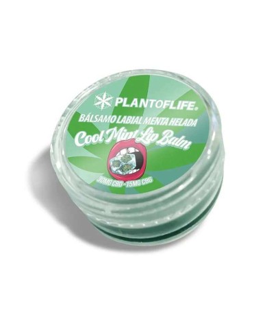 Baume lèvres CBD & CBG menthe | PLANT OF LIFE