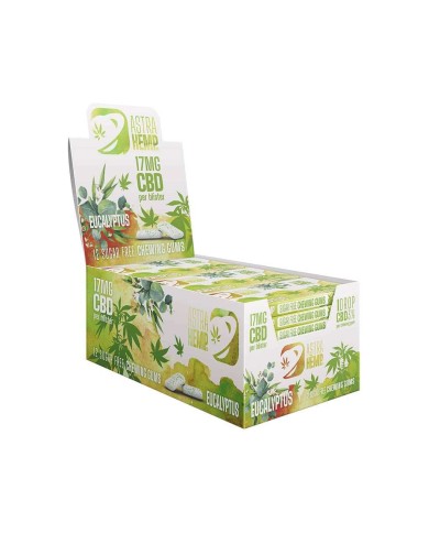 Boîte de 24 Chewing-gum CBD eucalyptus | ASTRA HEMP