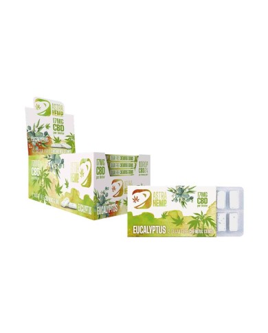 Boîte de 24 Chewing-gum CBD eucalyptus | ASTRA HEMP