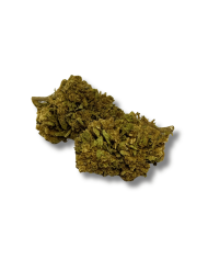 Fleur de CBD - SHERBET