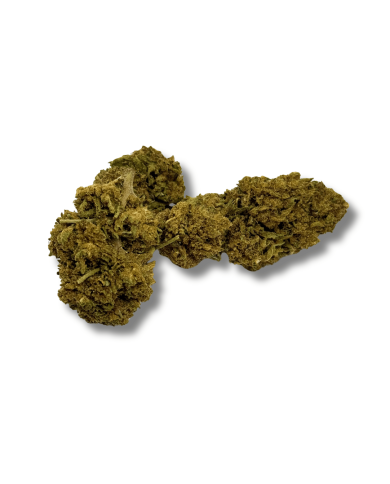 Fleur de CBD - BUBBLEGUM