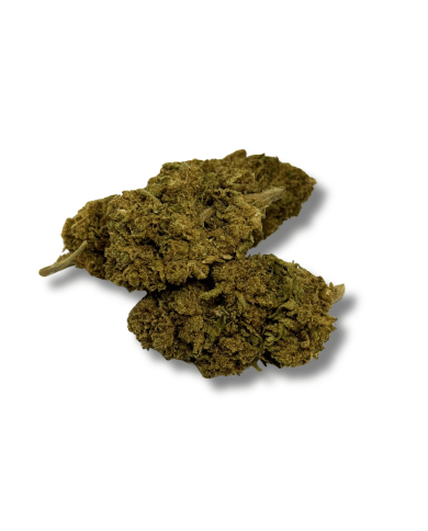 Fleur de CBD - BUBBLEGUM