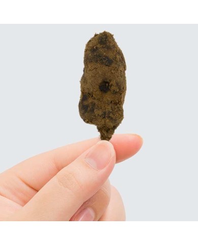 Moonrock CBD 35% CBN 3%