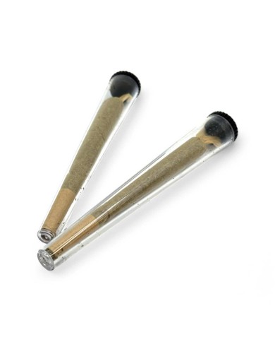 Étui cône - lot de 50