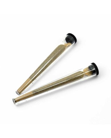 Étui cône - lot de 50