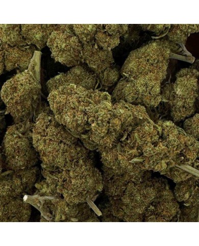 Fleur de CBD - BLUEBERRY