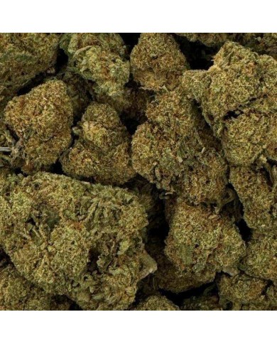 Fleur de CBD - RASPBERRY HAZE