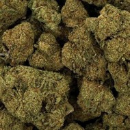 Fleur de CBD - RASPBERRY HAZE