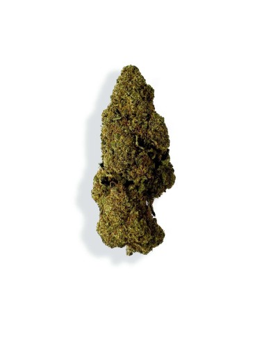 Fleur de CBD - RASPBERRY HAZE