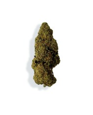 Fleur de CBD San Francisco