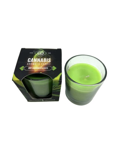 Bougie parfumée Dry Cannabis Leaves | MULTITRANCE