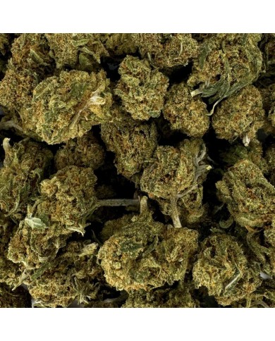 Small Bud Premium Berries CBD