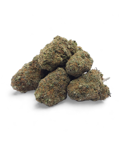 Fleur CBD Gelato Glue Indoor Premium