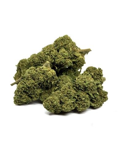 Fleur de CBD Gorilla Glue Greenhouse