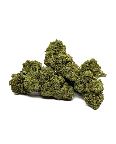 Fleur de CBD Gorilla Glue Greenhouse