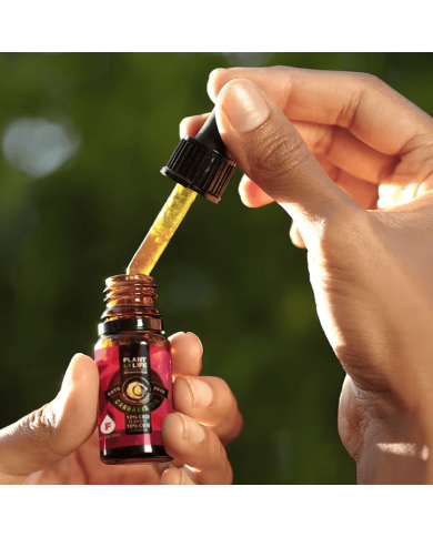 Huile CBN CBD 10% 10ML Full Spectrum | PLANT OF LIFE