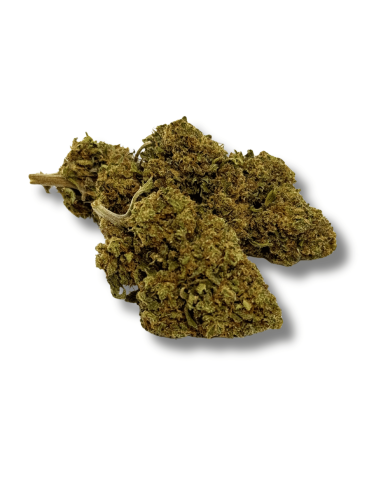 Fleur CBD Mandarine Premium Greenhouse