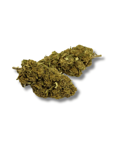 Fleur CBD Buddha Fruit Premium Greenhouse