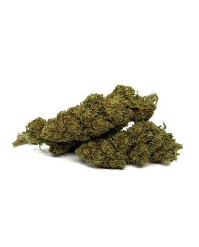 Fleur de CBD Orange Bud Greenhouse