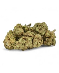 Fleur de CBD California Kush Greenhouse Premium