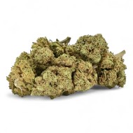 Fleur de CBD Remedy Greenhouse Premium