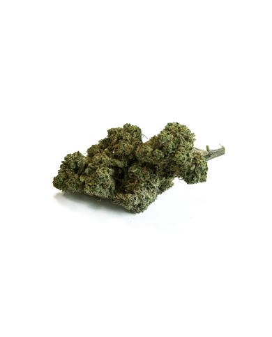 Fleur de CBD California Kush Greenhouse Premium