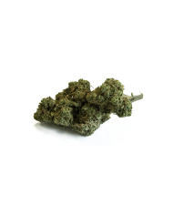 Fleur de CBD Cannatonic Greenhouse