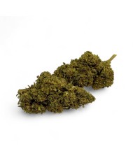 Fleur de CBD California Kush Greenhouse Premium