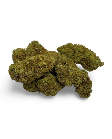 Fleur de CBD Amnesia 2.0 Greenhouse