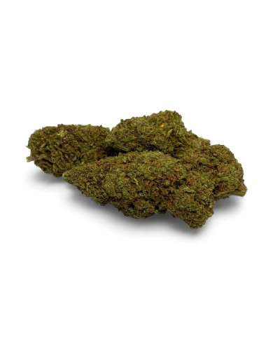 Fleur de CBD Amnesia 2.0 Greenhouse