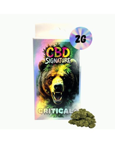Fleur de CBD Critical+ 2G - CBD Signature