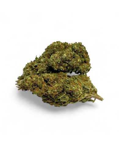 Déstockage Fleur de CBD Harlequin Indoor - Quantité Limitée