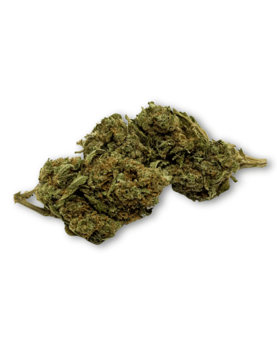 Déstockage Fleur de CBD Harlequin Indoor - Quantité Limitée