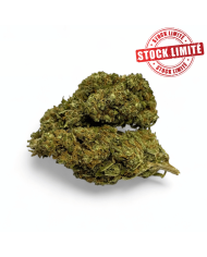 Coffret découverte débutant fleurs CBD