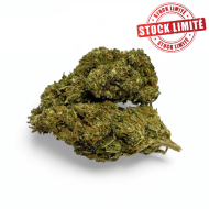 Déstockage Fleur de CBD Harlequin Indoor - Quantité Limitée