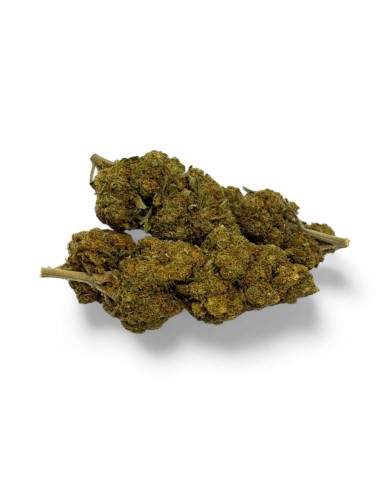 Fleur CBD Critical+ Greenhouse 8%